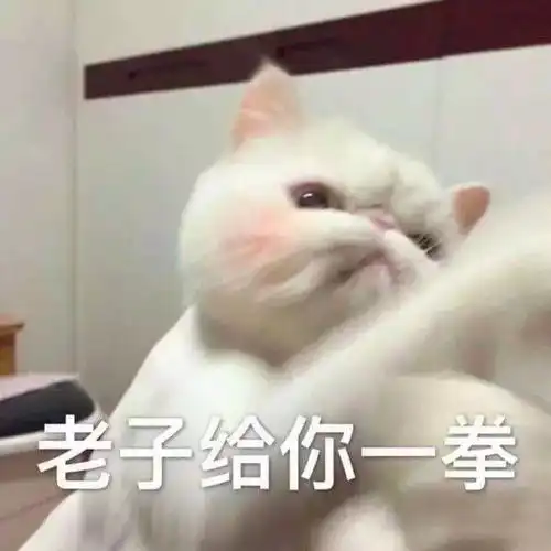 斗图专用表情包斗图专用