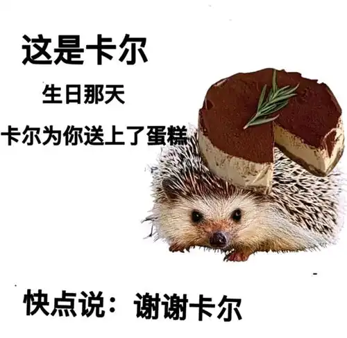  哔哩哔哩专栏