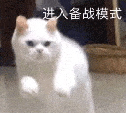 cc猫动态表情包指甲