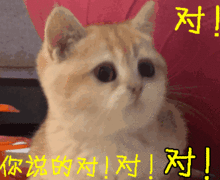  表情包让哥看看,谁在这撒野