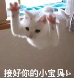  年入超7亿27岁经营多家俱乐部,花两千万想整成石原里美却成了四不像