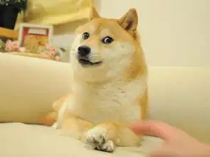 柴犬假装被石兽咬到表情赢了奥斯卡欠你一座小金人