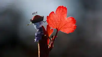  爱吃鱼的僵尸系列