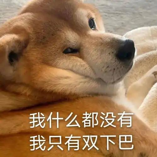  阿猫阿狗表情包