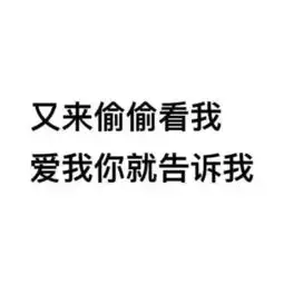 我在偷偷喜欢你表情包表