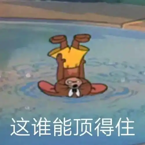  潮图表情包别打扰我学习