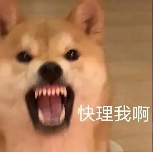 舔狗图片表情包沙雕