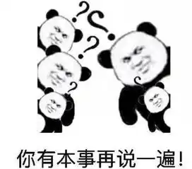  俞敏洪从英文水平看雷军刘强东与马云的差距