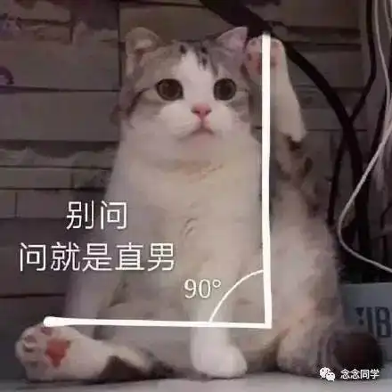  520年度随想一年到底要过几个情人节女生为什么喜欢直男