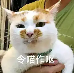  泪网红猫楼楼去世,我的表情包回到了汪星球...