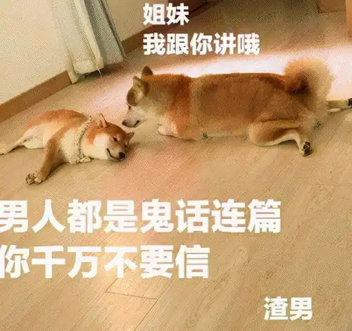  王某某你睡了吗我们吃瓜狗狗睡不着