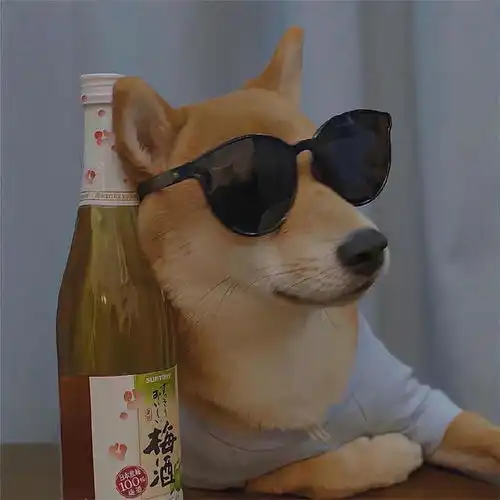  动物头像表情包