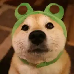  你是因为什么才单身的