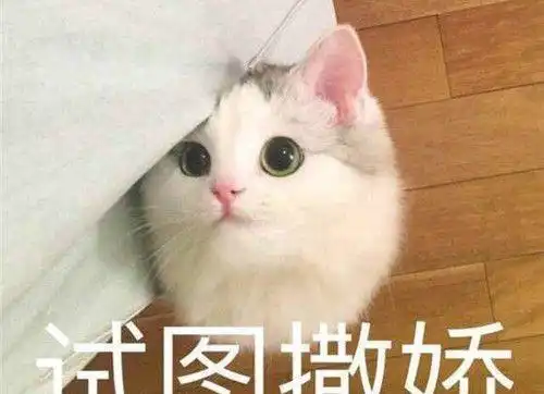  男孩放学回家,书包却引起路人注意真是上辈子修来的福