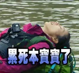  组图韩雪一秒变行走的表情包夸张搞怪萌萌哒