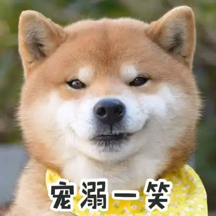  宠物带字动态表情包