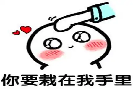我在偷偷喜欢你表情包脸