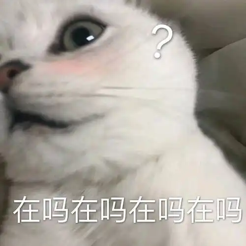  有哪些适合聊天时开头的表情包