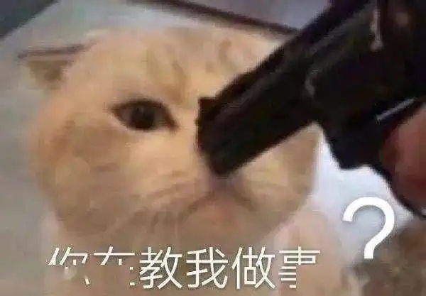  弟弟都是怎么坑姐姐钱的哈哈哈哈太真实了