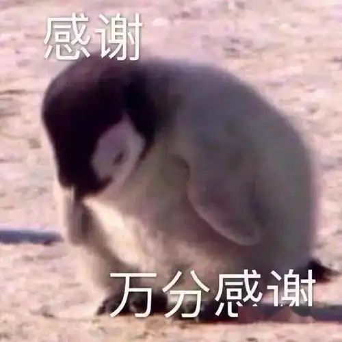  你永远可以相信他们可爱的老师们