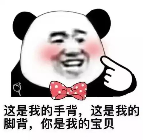  成都武侯区公司股东股权变更流程