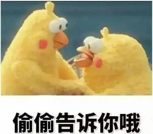 我在偷偷喜欢你表情包表