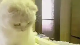  或许这才是最美好的爱情ω