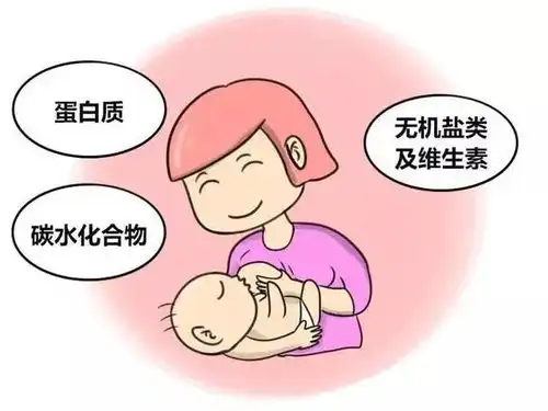  母乳喂养会导致乳房下垂这些年的坑你还在信