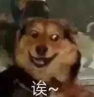  升级解锁新地图啦