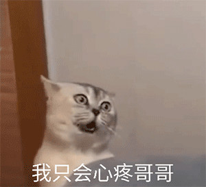 cc猫动态表情包生气
