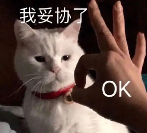  过了十二点就tb38了然而我在ali爸爸那里提前冲了