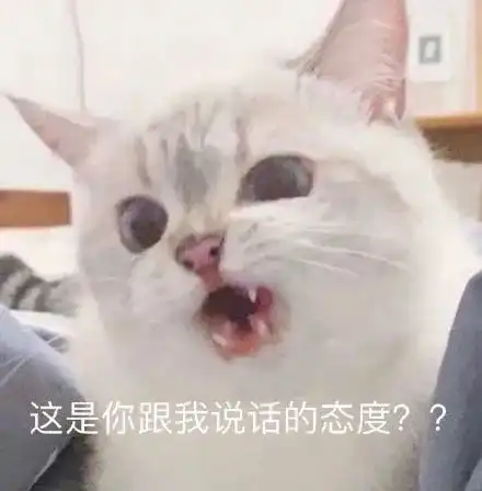  猫猫表情包系列这是你跟我说话的态度