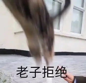  表情包露出了舔狗般的笑容