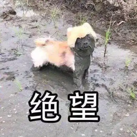  嫌疑人近在眼前,警方却迟迟不抓背后原因让人点赞