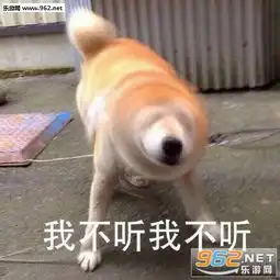  我不管我不管表情包我不管我不管撒娇图片合集下载高清无水印乐游网游戏下载