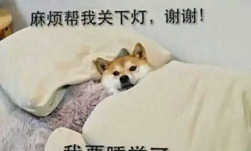  论表情包,我柴犬说第二,没人敢说第一