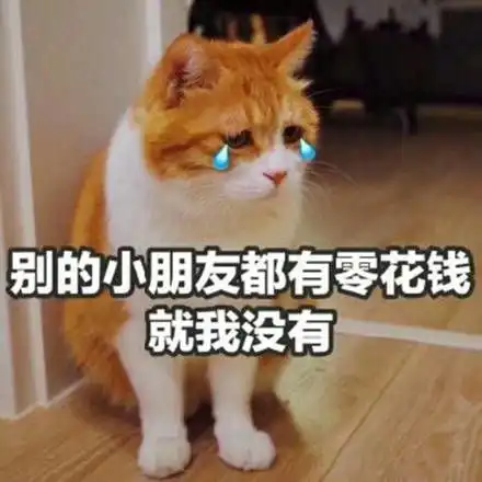  来一波表情包拿着去讨生活费吧