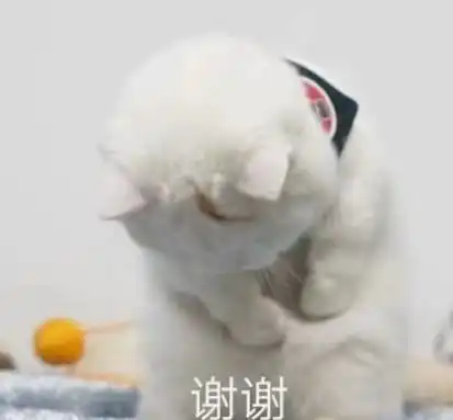  幽默笑话侄子换了新的班主任,男的,挺帅