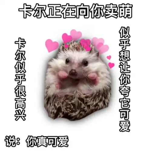  表情包快来说谢谢小刺猬卡尔