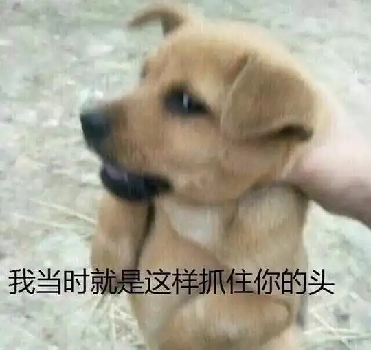  不太方的相册我的命根子