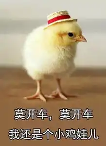  鸡年要用对的表情包,重庆言子版鸡年表情包爆笑来袭