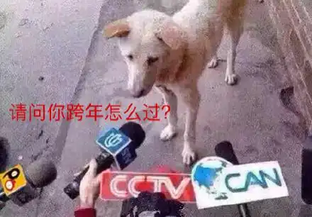  关于跨年的表情包合集叫我一声老公,跨年你就不是一个人了