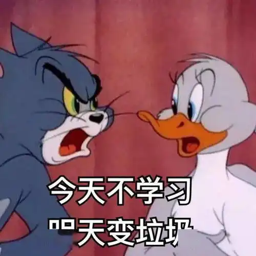  沙雕猫和老鼠表情包