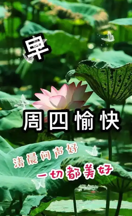  5月15日周五群发早上好问候祝福动态表情图片5月最美早晨好问候表情动态图片