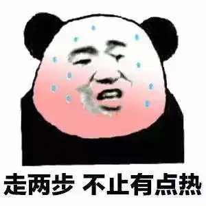 我开始怕了表情包熊猫