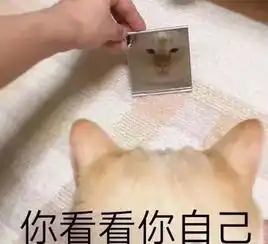  片单被这7部片连环轰炸,看完我终于丢了智商