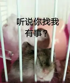  仓鼠酱酱成长记