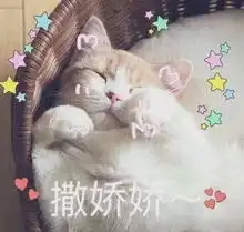  抓紧时间温江外地子女入学网上申请今天已经开始了附操作指南