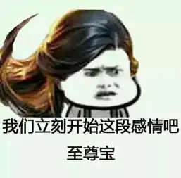  王者荣耀斗图表情包第164期立刻开始这段感情吧