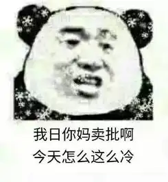  天气冷搞笑表情包请问你是不是想冷死我